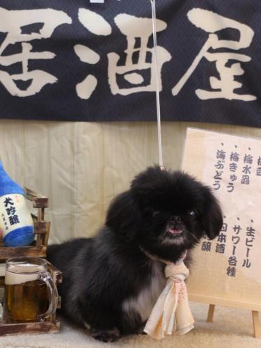 20240608つきみちゃん